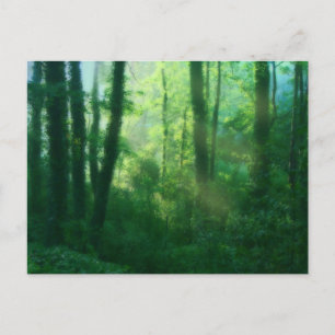 Postal Postcarta de fertilidad