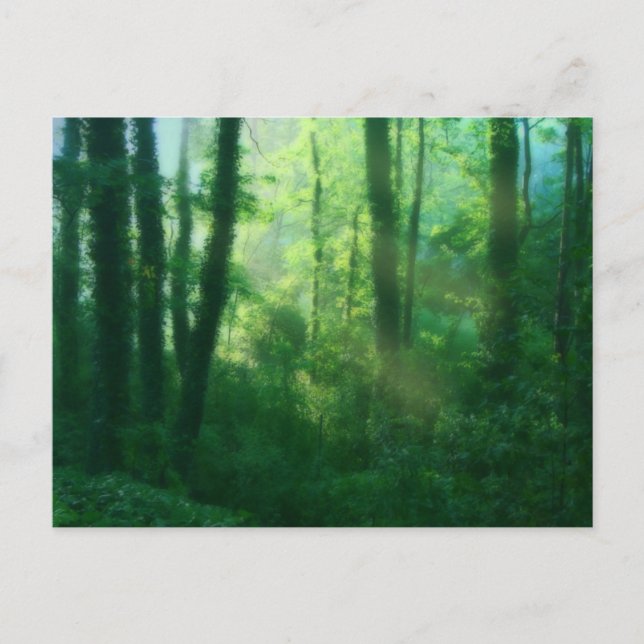 Postal Postcarta de fertilidad (Anverso)