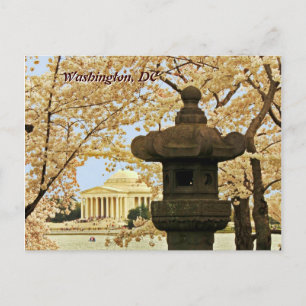 Postal Postcarta de flores de cerezo de Washington