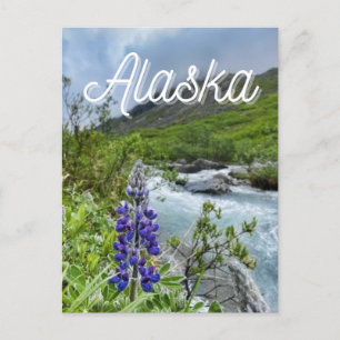 Postal Postcarta de flores del río Alaska