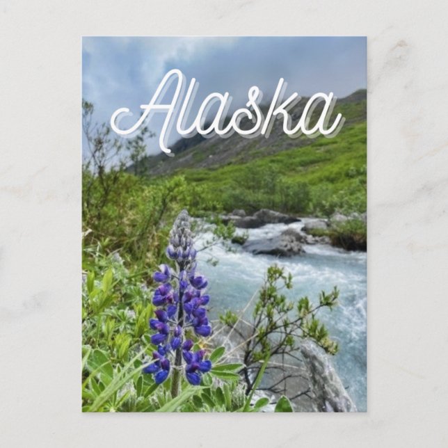 Postal Postcarta de flores del río Alaska (Anverso)