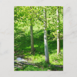 Postal Postcarta de flotación de primavera
