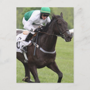 Postal Postcarta de Galloping Race