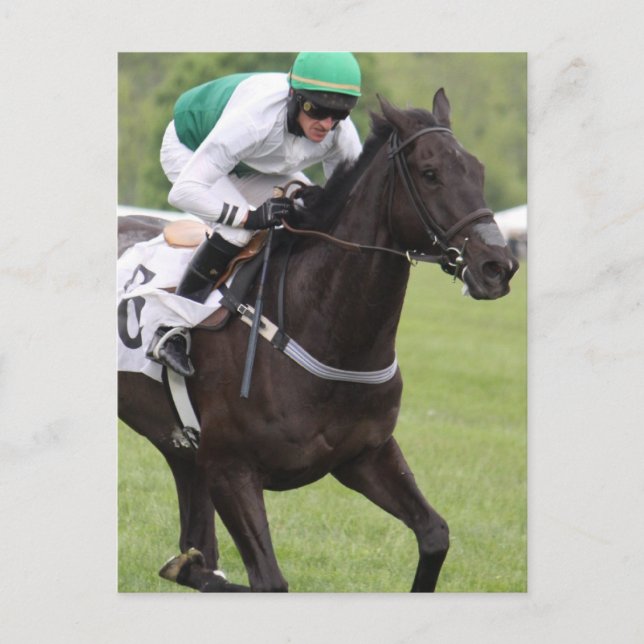Postal Postcarta de Galloping Race (Anverso)