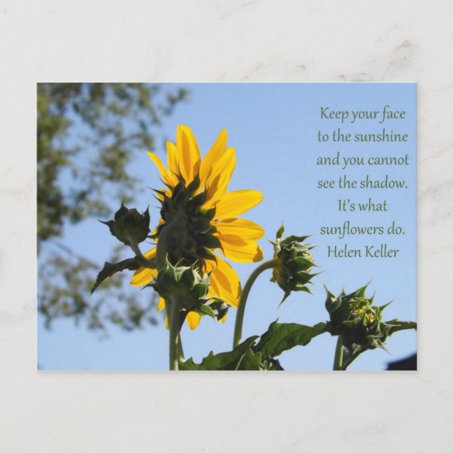 Postal Postcarta de girasol inspiradora (Anverso)