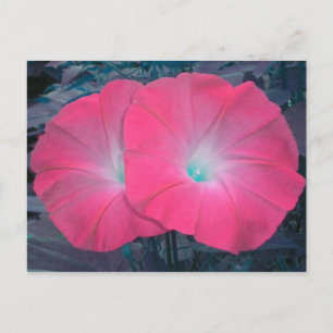 Postal Postcarta de glorias mortales rosadas N Verde azul