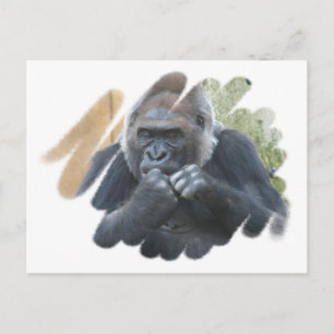 Postal Postcarta de Gorilla Primate