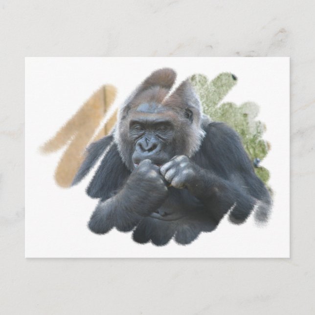 Postal Postcarta de Gorilla Primate (Anverso)