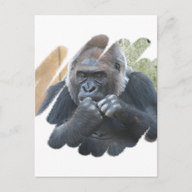 Postal Postcarta de Gorilla Primate (Anverso)