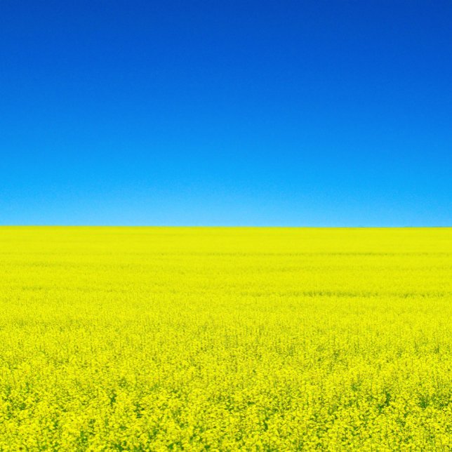 Postal Postcarta de guerra y paz (Subido por el creador)