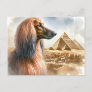 Postal Postcarta de hound afgana