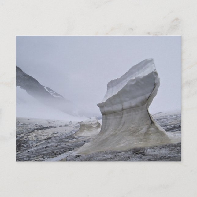 Postal Postcarta de Juneau Icefield (Anverso)