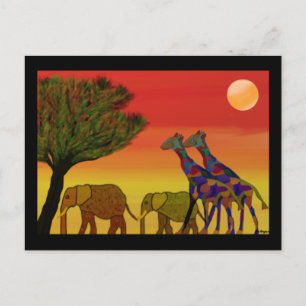 Postal Postcarta de Jungle Sunset
