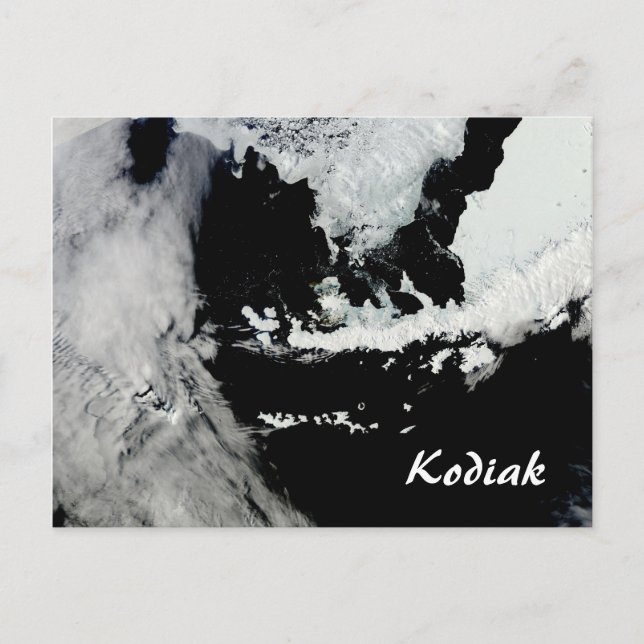 Postal Postcarta de Kodiak Alaska (Anverso)