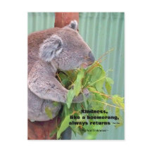 Postcarta de la cita de la bondad de Koala