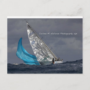 Postal Postcarta de la Copa de Oro Ninkasi