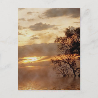 Postal Postcarta de la gloria del atardecer