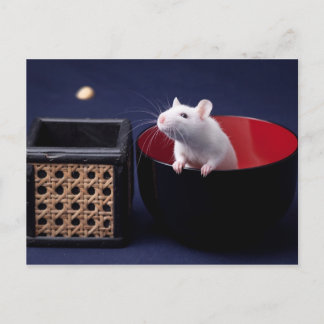 Postal Postcarta de la mesa Luna