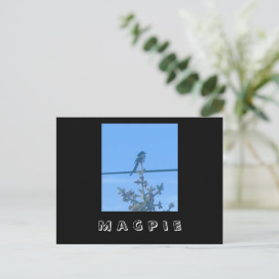 Postal Postcarta de la naturaleza de la magta