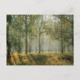 Postal Postcarta de la naturaleza de la serenidad