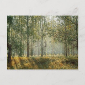 Postal Postcarta de la naturaleza de la serenidad