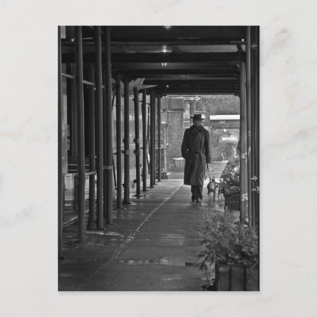 Postal Postcarta de la NYC Winter Dog Walker (Anverso)
