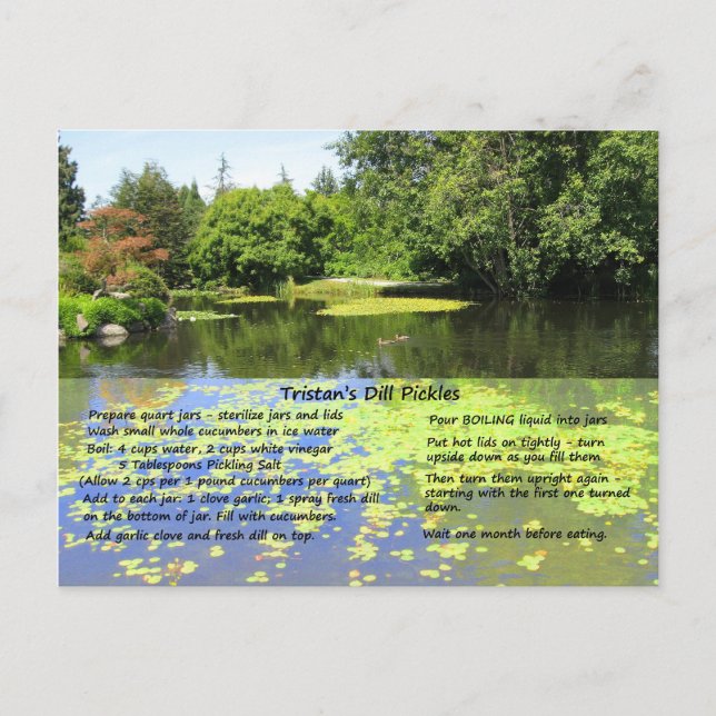 Postal Postcarta de la receta de Dill Pickle (Anverso)