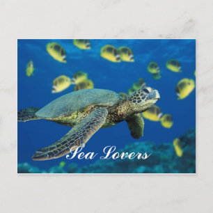 Postal Postcarta de la tortuga del Mar Verde