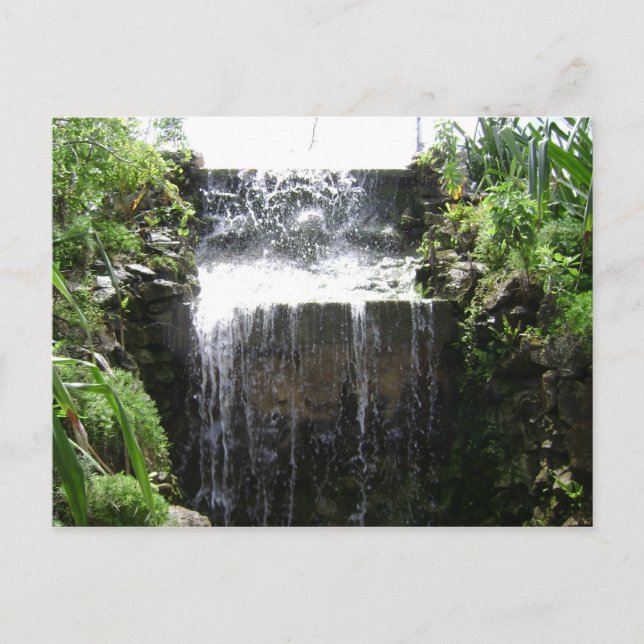 Postal Postcarta de las cataratas tropicales (Anverso)