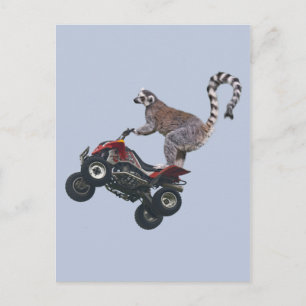 Postal Postcarta de Lemur Saltando