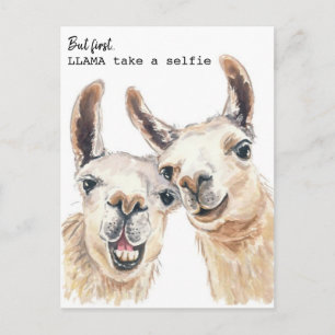 Postal Postcarta de Llama Puns - Llama se toma un selfie