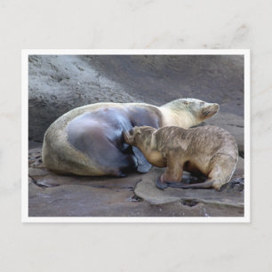 Postal Postcarta de madre y Enfermería
