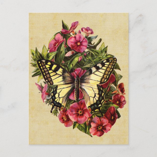 Postal Postcarta de mariposa de época (Anverso)