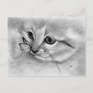 Postal Postcarta de mariposa de Kitten