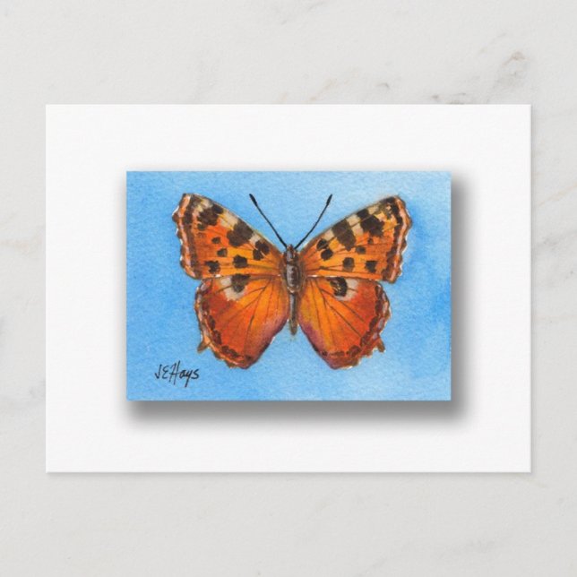 Postal Postcarta de mariposa de la cubierta Tortoise (Anverso)
