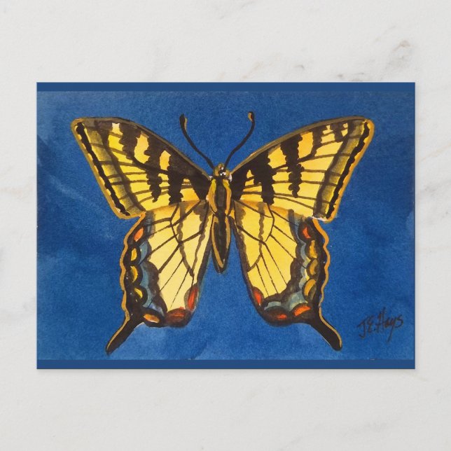 Postal Postcarta de mariposa del Tigre del Este (Anverso)