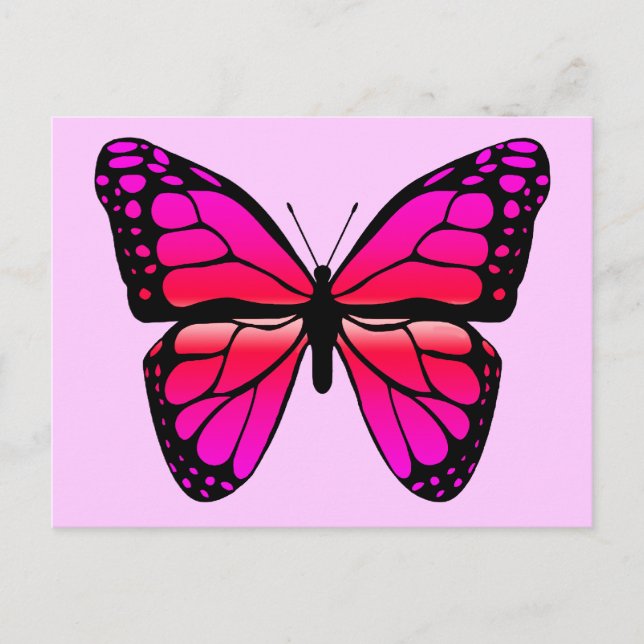 Postal Postcarta de mariposa rosa (Anverso)
