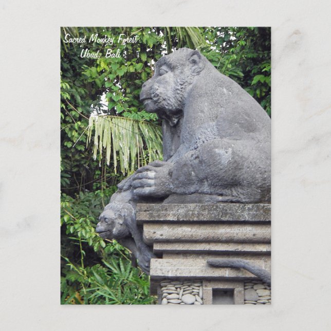 Postal Postcarta de Monkey Forest (Anverso)