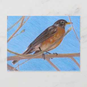 Postal Postcarta de naturaleza del Bella Artes Robin rojo