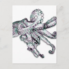 Postal Postcarta de Octopus en el Atlántico