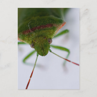 Postal Postcarta de ojos de rosa