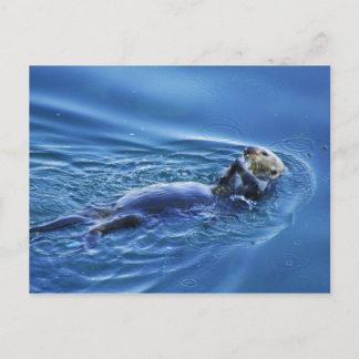 Postal Postcarta de Otter Sea