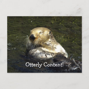 Postal Postcarta de Otter Sea