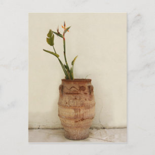 Postal Postcarta de pájaro de la planta paraíso