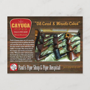 Postal Postcarta de Paul en Cayuga