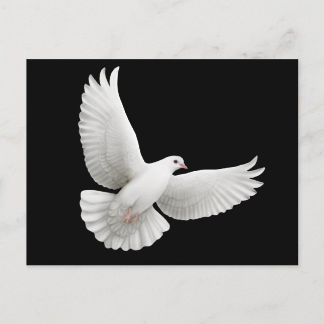 Postal Postcarta de Peace Dove (Anverso)
