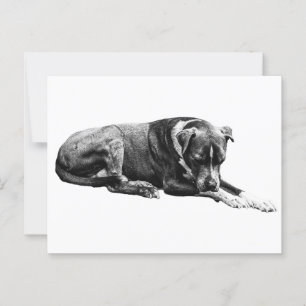 Postal Postcarta de perro de la posología del perro de la