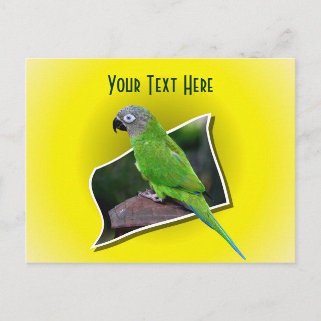 Postal Postcarta de Personalizable animal de loro corto (Anverso)