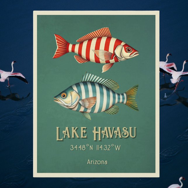 Postal Postcarta de pescado del lago Havasu Arizona (Subido por el creador)