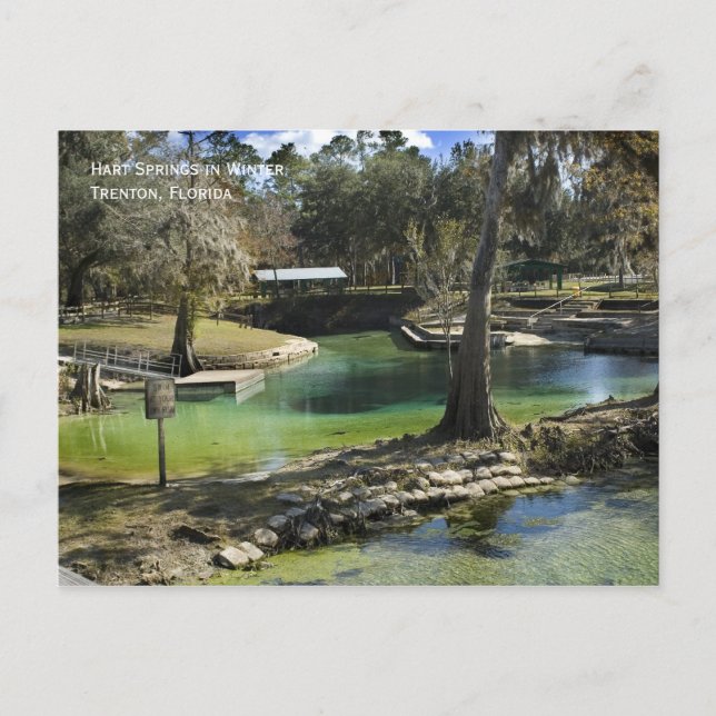 Postal Postcarta de primavera de invierno (Anverso)